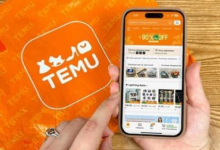 Temu 平台物流配送时效与发货-飞鸽出海