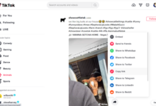TikTok网页版登录入口，TikTok官网登录登录流程-飞鸽出海