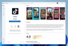 TikTok网页版中国可以登录吗?TikTok网页版登录教程-飞鸽出海
