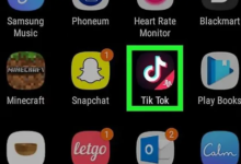 安卓手机如何下载并安装TikTok?详细教程来了-飞鸽出海