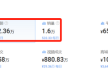 蒸汽拖把在TikTok卖疯了,一个月卖出1.6万台营收千万-飞鸽出海