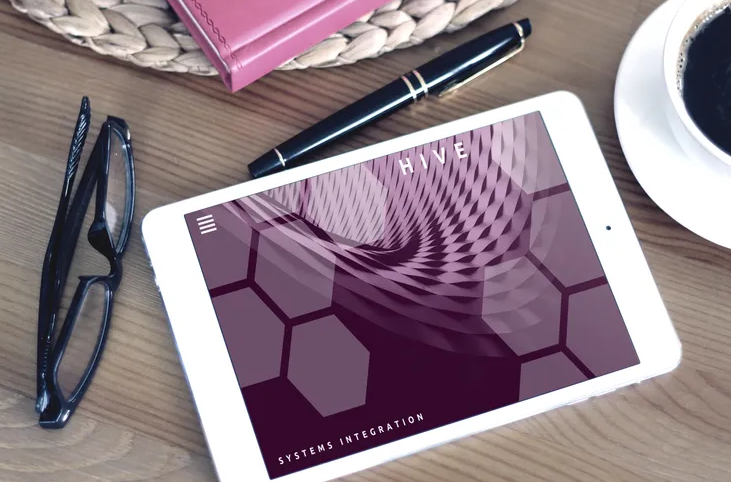 美国人管数据，中国人管赚钱：TikTok这招，跨境卖家能抄吗？-飞鸽出海